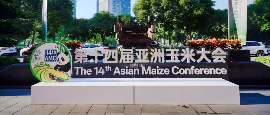 简报|语言桥助力第十四届亚洲玉米大会跨国科技交流