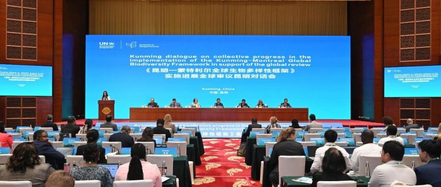 以语言为桥,连通全球生物多样性治理——语言桥护航《昆蒙框架》昆明对话会